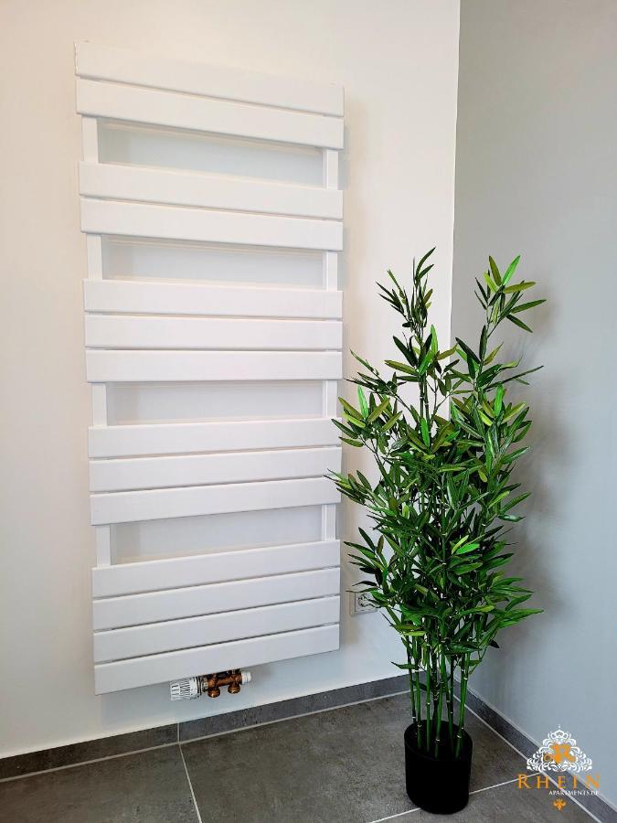 Top Modernes Rhein Apartment Vallendar Mit Balkon エクステリア 写真