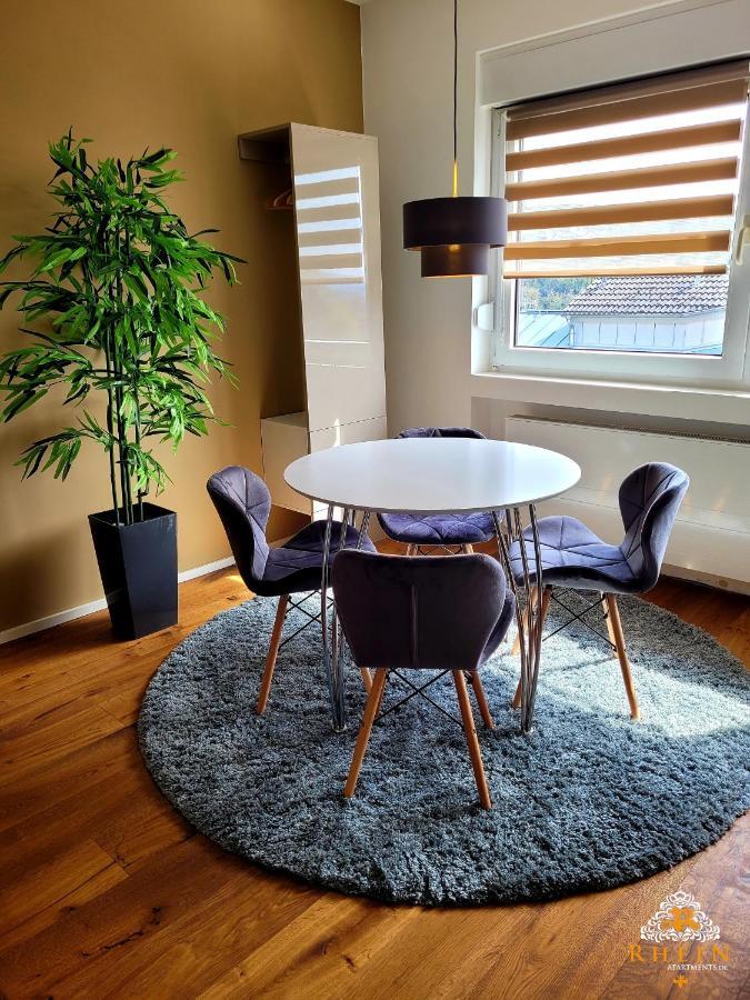 Top Modernes Rhein Apartment Vallendar Mit Balkon エクステリア 写真